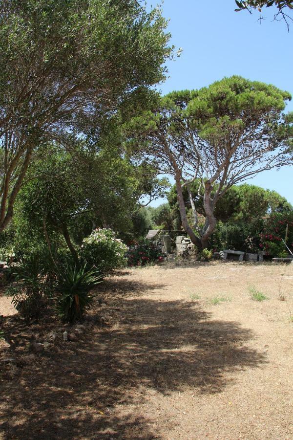 Le 25 Tartarughe Bed and Breakfast Santa Teresa Gallura Exteriör bild