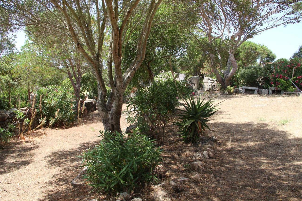 Le 25 Tartarughe Bed and Breakfast Santa Teresa Gallura Exteriör bild