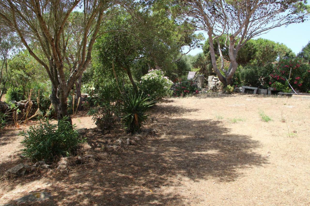 Le 25 Tartarughe Bed and Breakfast Santa Teresa Gallura Exteriör bild