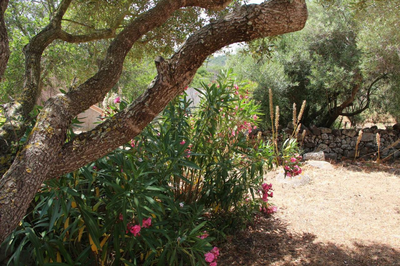 Le 25 Tartarughe Bed and Breakfast Santa Teresa Gallura Exteriör bild