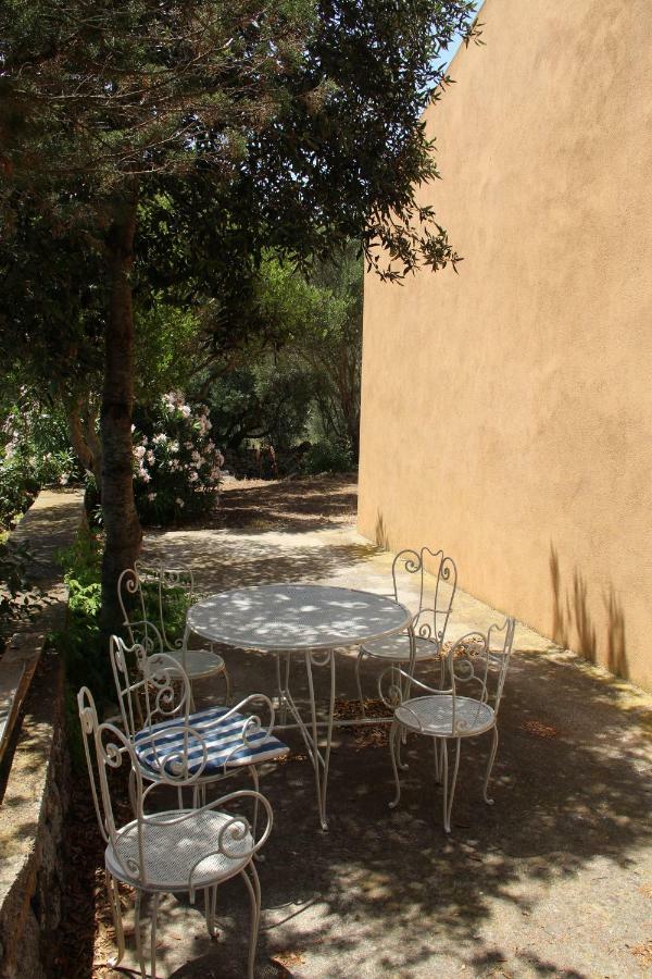 Le 25 Tartarughe Bed and Breakfast Santa Teresa Gallura Exteriör bild