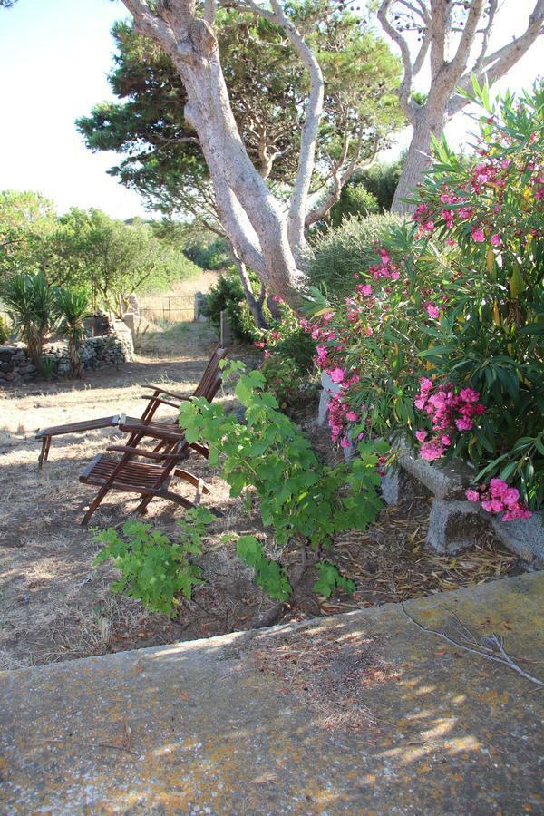 Le 25 Tartarughe Bed and Breakfast Santa Teresa Gallura Exteriör bild