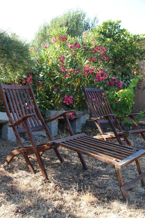 Le 25 Tartarughe Bed and Breakfast Santa Teresa Gallura Exteriör bild
