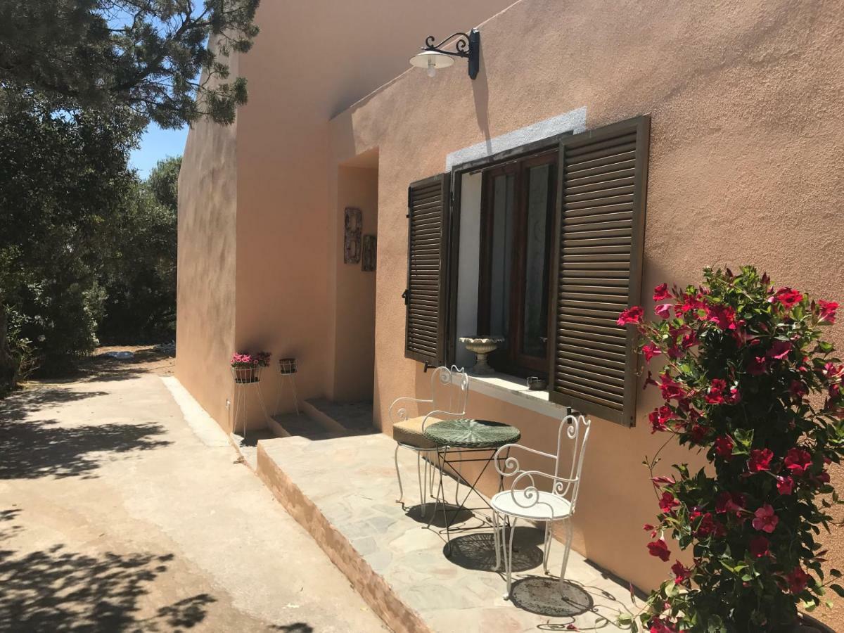Le 25 Tartarughe Bed and Breakfast Santa Teresa Gallura Exteriör bild